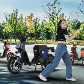 Xe Đạp Điện DK Bike